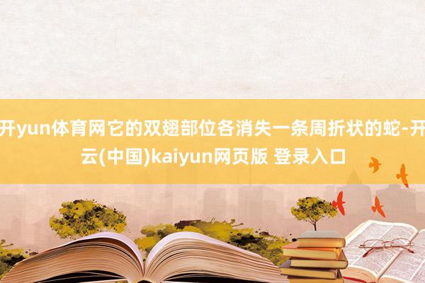 开yun体育网它的双翅部位各消失一条周折状的蛇-开云(中国)kaiyun网页版 登录入口