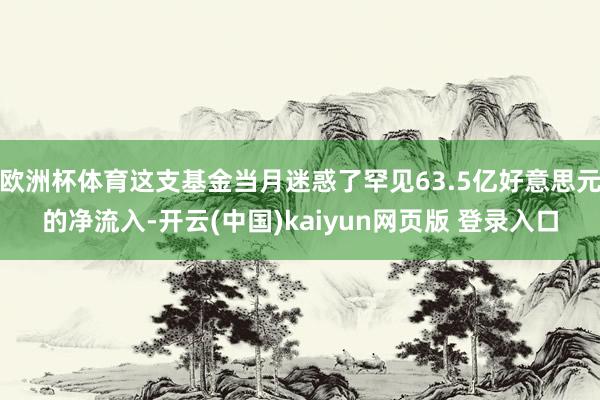 欧洲杯体育这支基金当月迷惑了罕见63.5亿好意思元的净流入-开云(中国)kaiyun网页版 登录入口