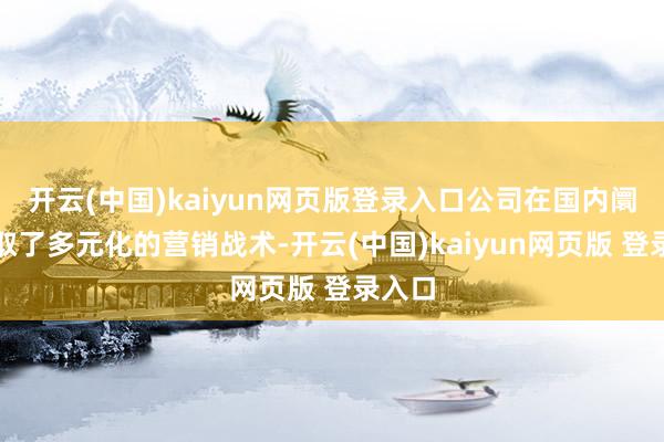 开云(中国)kaiyun网页版登录入口公司在国内阛阓弃取了多元化的营销战术-开云(中国)kaiyun网页版 登录入口